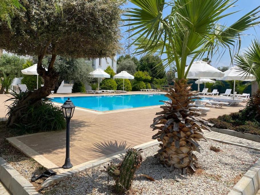 Girne/Zeytinlik 2+1 Muhtesem Terasli Daire 외부 사진